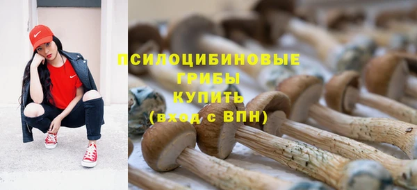 СК Алексин