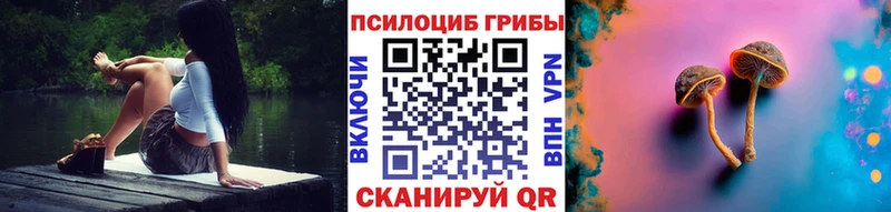 Псилоцибиновые грибы Cubensis  Омск 