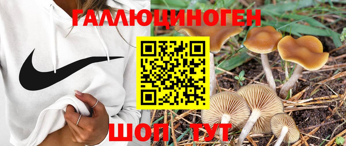 Галлюциногенные грибы мицелий Омск