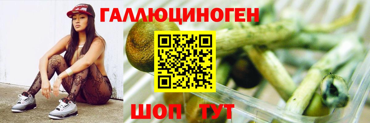 цена   Псилоцибиновые грибы Psilocybine cubensis  Галлюциногенные грибы Cubensis  Вход с VPN  Омск 